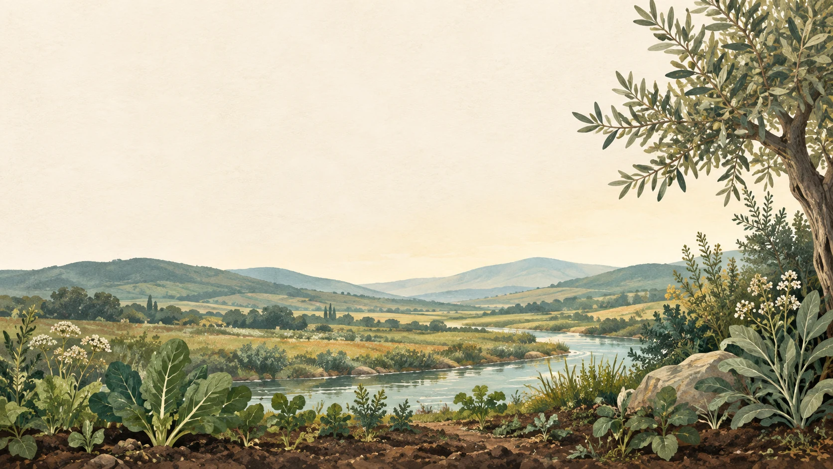 Fertile soil, growing plants and a winding river beneath a broad sky.